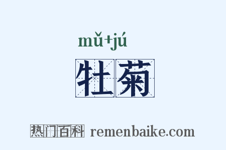牡菊是什么意思的图片